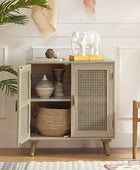 Noin 2-Door Accent Cabinet