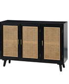 Dario 3-Door Accent Cabinet