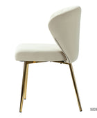 Aruna Modern Velvet Side Chair
